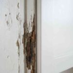 Comparison of chipped wall paint versus smooth kitchen cabinet paint finish on a cabinet door edge